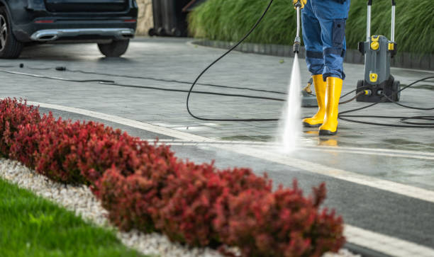 Best House Exterior Washing  in Wayne, MI